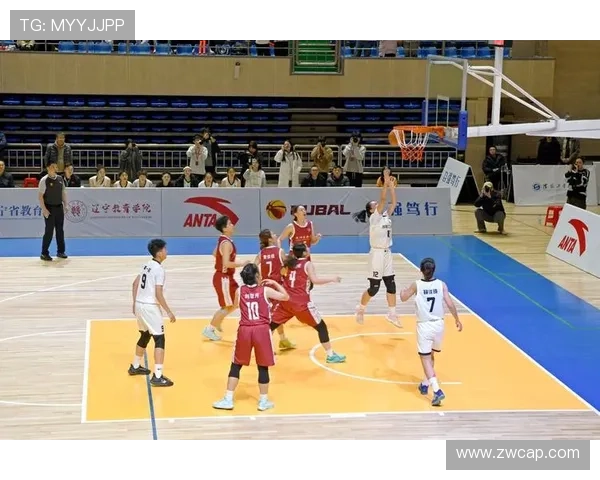 cuba篮球联赛(cuba篮球联赛全称)sports