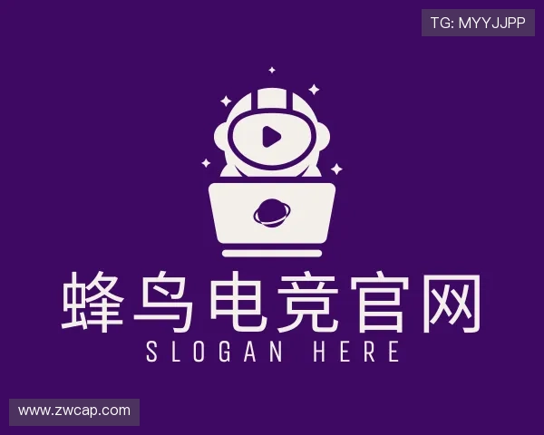 关于蜂鸟电竞