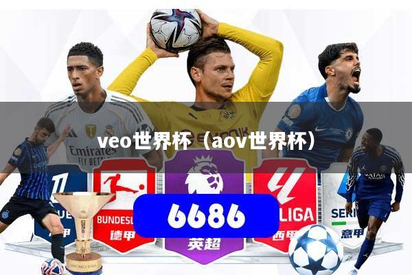 veo世界杯（aov世界杯）